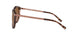 302613 - Havana - Brown Pink Gradient