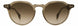 STATE Optical Co. ELSTONSW Sunglasses