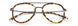 Paradigm 19-10 Eyeglasses