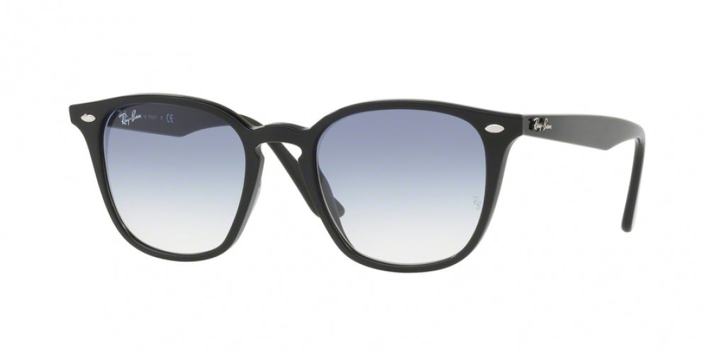 Ray-Ban 4258 Sunglasses