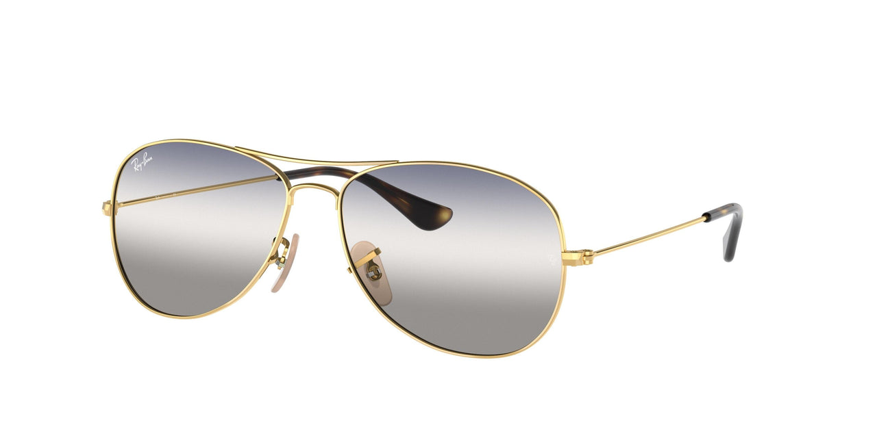 Ray-Ban Cockpit 3362 Sunglasses