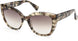 MAXMARA Logo11 0040 Sunglasses