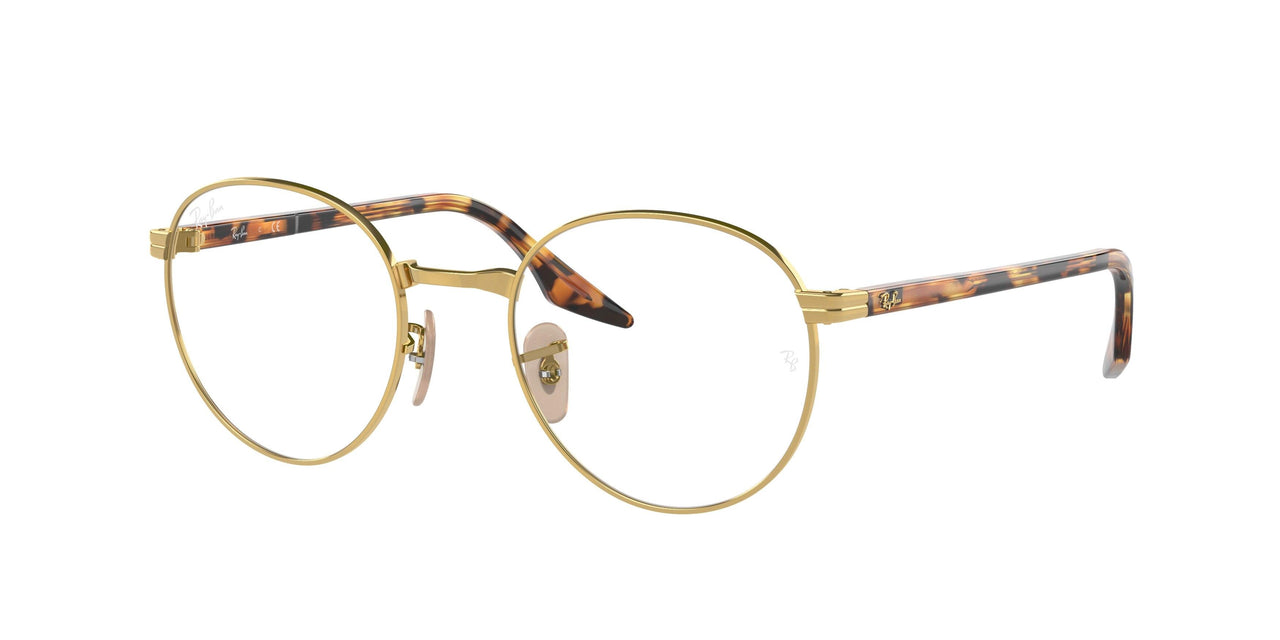 Ray-Ban 3691VF Eyeglasses