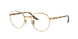 Ray-Ban 3691VF Eyeglasses