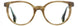 STATE Optical Co. SOUTHPORT Eyeglasses