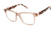 Ted Baker TW014 Eyeglasses