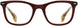 STATE Optical Co. OAK Eyeglasses