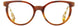 STATE Optical Co. SOUTHPORT Eyeglasses