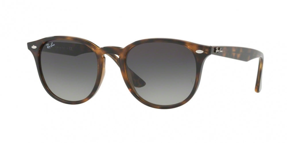 Ray-Ban 4259 Sunglasses