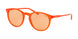 Polo 4110 Sunglasses