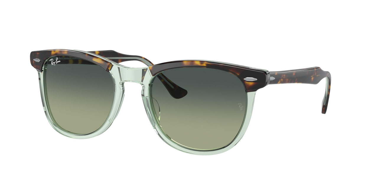 Ray-Ban Eagleeye 2398 Sunglasses