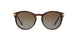 3106T5 - Havana - Brown Gradient Polarized