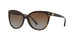 3006T5 - Havana - Brown Gradient Polarized