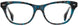 STATE Optical Co. GRACE Eyeglasses