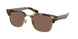 Polo 4202 Sunglasses