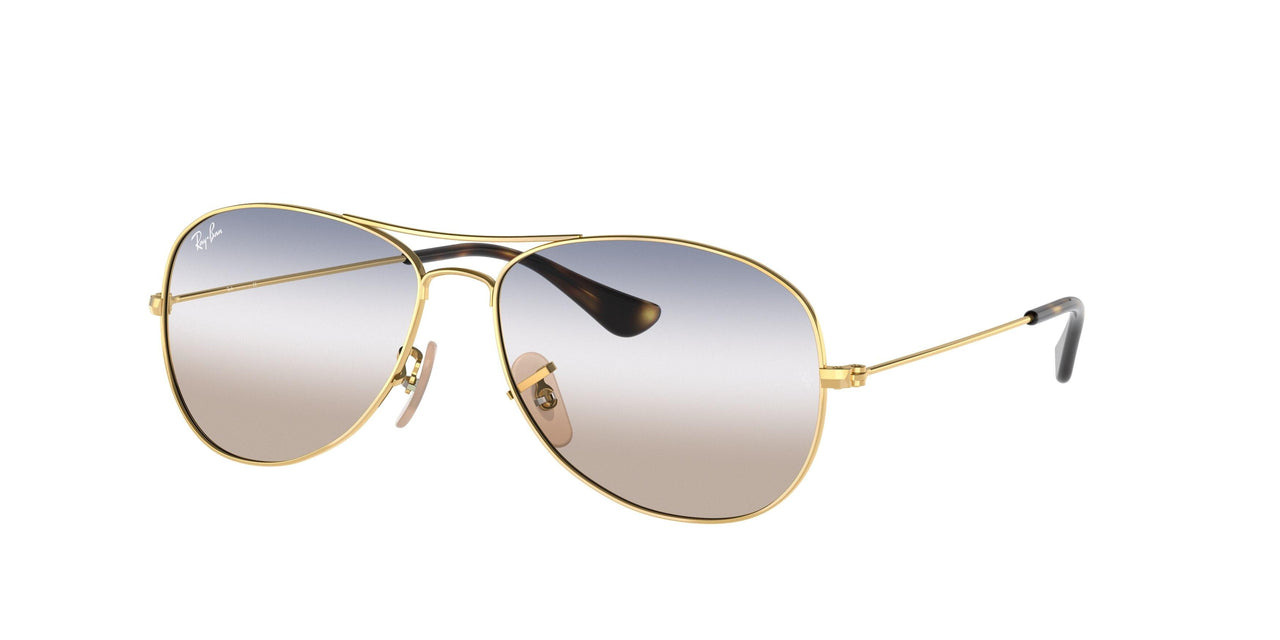 Ray-Ban Cockpit 3362 Sunglasses