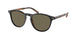 Polo 4181 Sunglasses