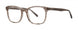 Vera Wang V530 Eyeglasses