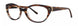 Vera Wang V351 Eyeglasses