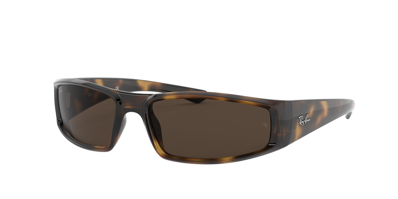 Ray-Ban 4335 Sunglasses