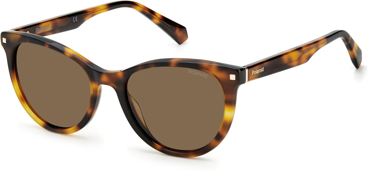 0086-HE - Havana - Copper Polarized