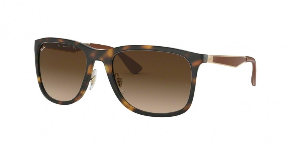 Ray-Ban 4313 Sunglasses