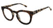 L.A.M.B. LA082 Eyeglasses