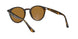 710/83 - Havana - Polar Brown