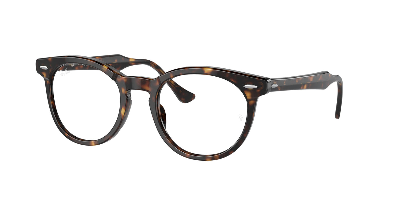 Ray-Ban Eagleeye 5598 Eyeglasses