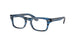 Ray-Ban Kids Burbank Jr 0RY9083V Eyeglasses