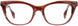 STATE Optical Co. HALSTEDGF Eyeglasses