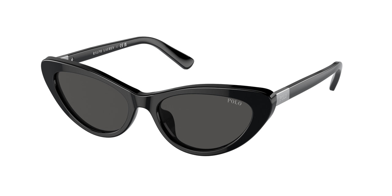 Polo 4199U Sunglasses