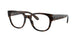 Ray-Ban 7210 Eyeglasses