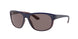 Ray-Ban 4351 Sunglasses