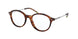 Polo 2219 Eyeglasses