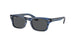 Ray-Ban Junior Burbank Jr 9083S Sunglasses