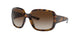 Ray-Ban Powderhorn 4347 Sunglasses