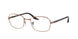 Ray-Ban 3690V Eyeglasses