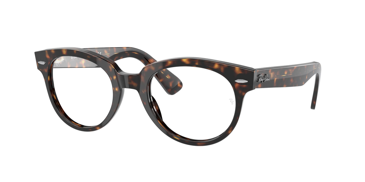 Ray-Ban 2199V Eyeglasses