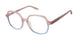 Superdry SDOW002T Eyeglasses