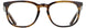 Alan J AJ154 Eyeglasses