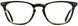 Alan J AJ162 Eyeglasses