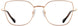 Alan J AJ508 Eyeglasses