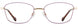 Alan J AJ522 Eyeglasses