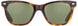 American Optical SARATOGA Sunglasses