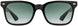 3 - Black Tortoise - SunVogue Green Gradient