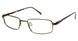 Aristar AR16204 Eyeglasses