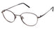 Aristar AR16216 Eyeglasses