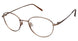 Aristar AR16216 Eyeglasses