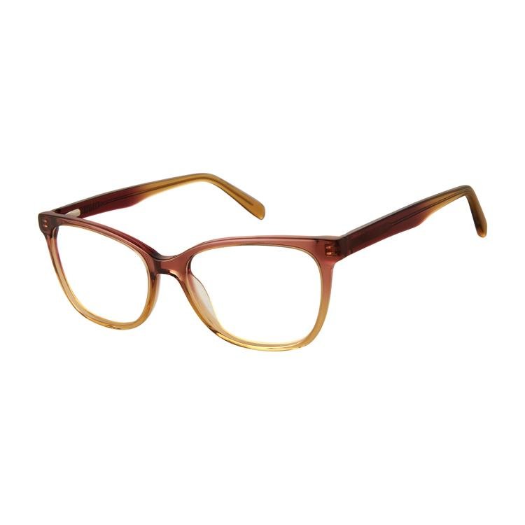 Aristar AR18440 Eyeglasses